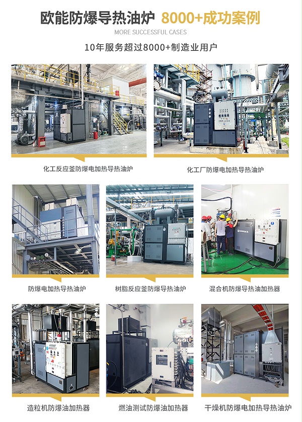 防爆型电加热导热油炉案例